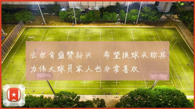 法尔肯盛赞孙兴慜希望换球衣称其为伟大球员家人也非常喜欢
